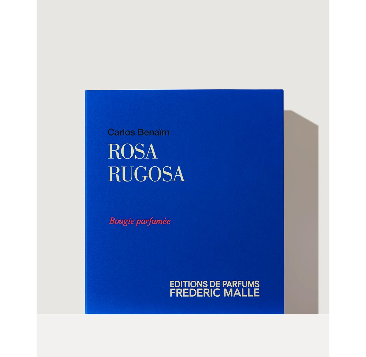 ROSA RUGOSA